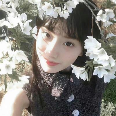 美梦成真2015